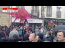 VIDÉO. Un flamant rose fend la foule dans les rues de Quimper