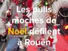 Les pulls moches de Noël brillent à Rouen