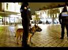 VIDÉO. Immersion nocturne avec la brigade canine de la police municipale à Nantes