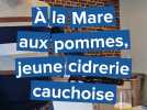 La Mare aux pommes, un coup de frais sur le cidre cauchois