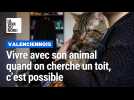 Vivre avec son animal quand on cherche un toit : l'initiative d'un centre d'hébergement