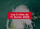 VIDEO. Les 3 infos du 11 février 2025