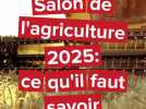 Salon de l'agriculture : mascotte, dates, ateliers, exposants... 7 choses à savoir sur l'édition 2025