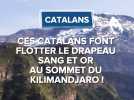 Ces Catalans font flotter le drapeau sang et or au sommet du Kilimandjaro !