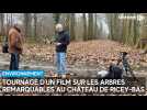 Un film sur les arbres remarquables tourné dans l'allée des platanes du château de Ricey-Bas (Aube)