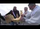 SAINT-NICOLAS-DE-BOURGUEIL / Le coq de retour sur l'église