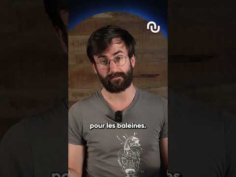 Est-ce qu'une BALEINE peut avaler un HUMAIN ? #shorts