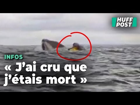 Il fait un aller-retour dans la gueule d'une baleine : la folle aventure de ce kayakiste au Chili [Vidéo]