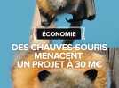 Haute-Garonne : des chauves-souris vont-elles bloquer un projet touristique à 30 millions d'euros ?