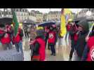 VIDÉO. À Vannes, des manifestants demandent la libération du leader kurde Öcalan