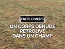 Faits divers : Un corps dénudé retrouvé dans un champ