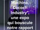 Expo « Cococh Industry » à Lille : une immersion dystopique qui bouscule notre rapport à l'animal