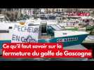 VIDÉO. Ce qu'il faut savoir sur la fermeture 2025 du golfe de Gascogne !