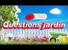 Direct vidéo. Questions jardin : en janvier, prépare ton calendrier !