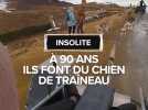 À 90 ans, ils font du chien de traîneau