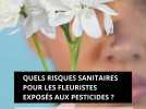 Quels risques sanitaires pour les fleuristes exposés aux pesticides ?