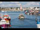 VIDÉO. La pêche à nouveau temporairement interdite dans le Golfe de Gascogne