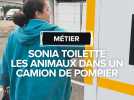 Elle toilette les animaux dans un camion de pompier