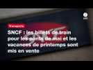 VIDÉO. SNCF : les billets de train pour les ponts de mai et les vacances de printemps sont mis en vente