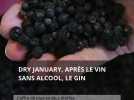 Dry January : après le vin sans alcool, le gin -l'offre de plus en plus étoffée