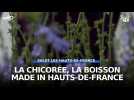 La chicorée, la boisson made in Hauts-de-France