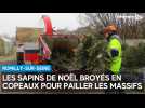 Les sapins de Noël broyés en copeaux pour pailler les massifs à Romilly-sur-Seine