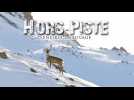 Hors-piste, sensible et sauvage