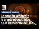 Le spot du Vendredi : Dans les secrets de la crypte néogothique à Notre-Dame de la Treille, à Lille