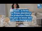 Hiesse : la ferme du Riveau abandonne la production d'oeufs bios pour se lancer dans celle des champignons