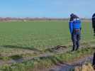 A Hames-Boucres, des animaux tués par un prédateurs inquiètent un habitant