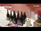 VIDÉO. Angers capitale mondiale du vin devant Paris ! Un monde fou au Salon des vins de Loire