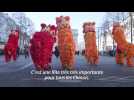 Défilé du Nouvel An chinois à Paris sous le signe du Serpent de bois