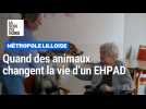 Quand des animaux de compagnie changent la vie d'un EHPAD