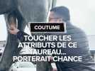 Coutume : Toucher les attributs de taureau... porterait chance