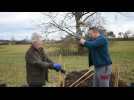 Une double haie plantée à Durrenbach