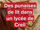 Des punaises de lit détectées au lycée Jules Urhy de Creil