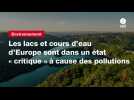 VIDEO. Les lacs et cours d'eau d'Europe sont dans un état « critique » à cause des pollutions