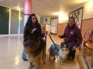 VIDÉO. Une médiation animale au collège Jacques-Prévert à Coutances