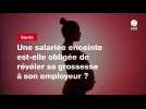 VIDEO. Une salariée enceinte est-elle obligée de révéler sa grossesse à son employeur ?