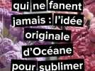 Des bouquets qui ne fanent jamais : l'idée originale d'Océane, du Portel, pour sublimer notre intérieur