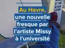 Une nouvelle fresque par l'artiste Missy à l'université du Havre