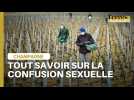 Tout savoir sur la confusion sexuelle !