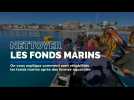 Comment nettoyer les fonds marins lorsqu'on arrête des cultures marines ? On vous explique