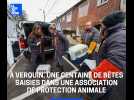 Verquin : Plus d'une centaine de bêtes saisies au siège d'une association de protection animale