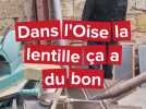 Dans l'Oise pourquoi c'est bon la lentille