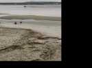 Spectaculaire sauvetage par hélicoptère d'un couple Belge enlisé dans le sable de la baie de Canche au Touquet