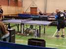 Coupelle-Neuve : l'équipe 1 de tennis de table s'incline face à Merlimont