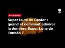 VIDEO. Super Lune du Castor : quand et comment admirer la dernière Super Lune de l'année ?