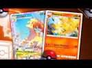 LE DECK ZOO EST DE RETOUR SUR POKEMON TCG !!!