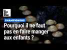 Pourquoi ne faut-il pas faire manger des champignons aux enfants ?